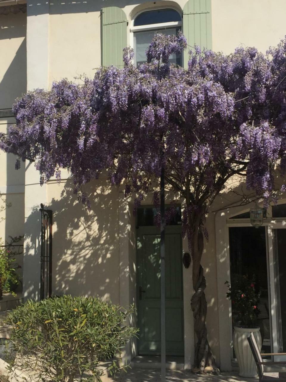 Mas De Mariette Acomodação com café da manhã Noves Exterior foto